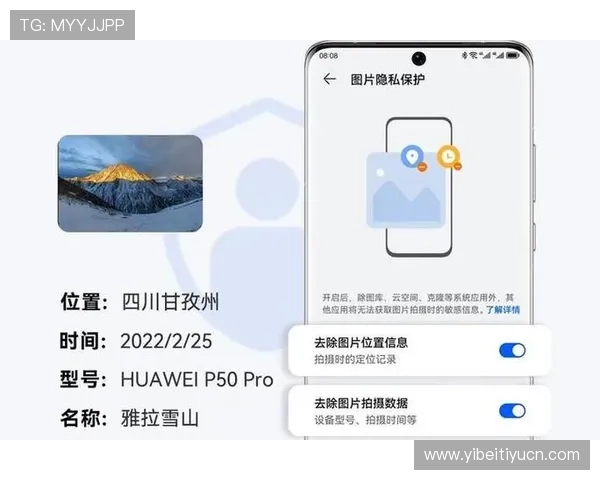 伟德app安全可靠的登录方式详解保障用户账号信息安全与隐私保护